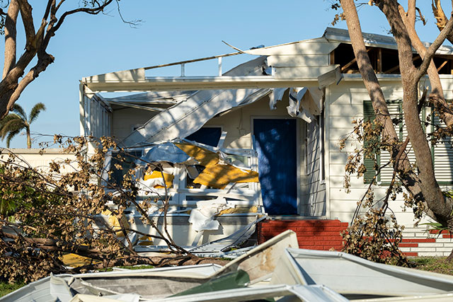 Wind Storm Damage