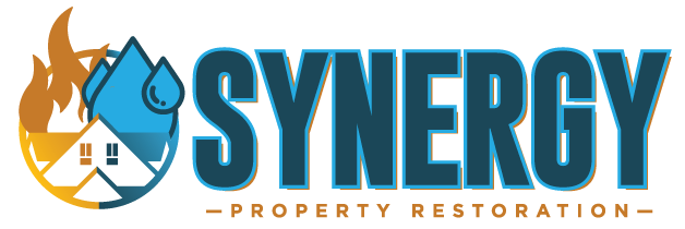 Synergy Storm Restoration Logo